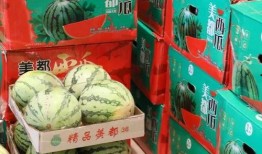 长春吃瓜最新事件爆料新闻,揭秘最新爆料背后的真相与争议